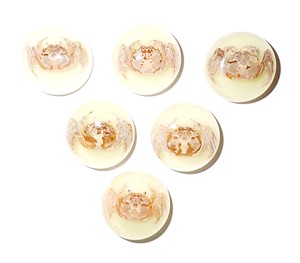 Cabujón Redondo de Plástico con Espécimen Real de Cangrejo, 25x25 mm, Base Plana Brillante para Manualidades y Joyería - Product Image 1