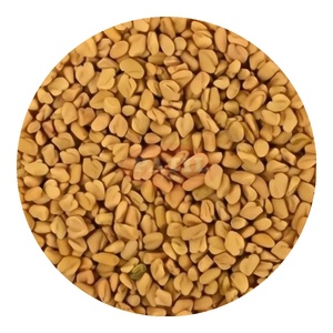 Graines de fenugrec (Trigonella Foenum-Graecum) séchées, entières, crues, épice indienne traditionnelle - Product Image 1
