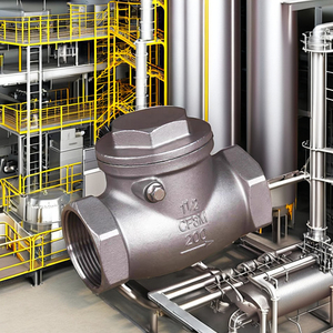 วาล์วกันกลับแนวนอนคุณภาพดีที่สุด ทำจากสแตนเลส 304 เกลียวขนาด 1 นิ้ว ทนทานต่อการกัดกร่อน ทนแรงดันสูง สำหรับน้ำ สำหรับอุตสาหกรรมน้ำมัน - Product Image 5