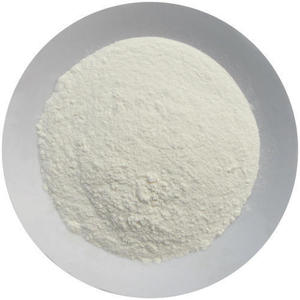 Dehydrated White Onion Powder Manufacturer | Food Grade <b>Spray</b> Dried Onion Powder Bulk Supplier Exporter - Product Image 2