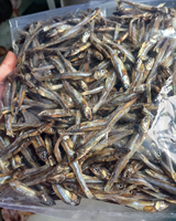 Anchois séchés au soleil du Vietnam / Qualité export