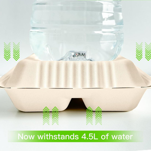 Sustainable <b>Compartment</b> <b>Lunch</b> <b>Box</b> Disposable Packaging Container for Fresh Meals Catering and Takeaway Businesses - Product Image 1