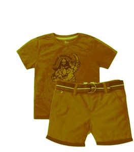 100% T-shirts et shorts à motifs floraux en coton doux et cool pour garçons ensembles de vêtements décontractés pour tout-petits avec peigné compact - Product Image 1