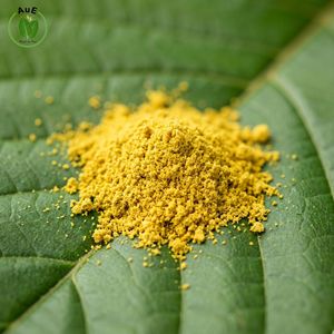 Customer <b>Best</b> Choice AuE Thai Herbal TH Natural Planting MIT 80% Leaf Extract Powder Solvent Extracted Pharmaceutical Grade - Product Image 4