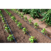 Ruban goutte-à-goutte PE durable de 16 mm, épaisseur de paroi de 0,15 à 0,4 mm, intégré en ligne, pour serre agricole, économiseur d'eau