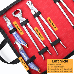 Custom Farrier Tools Kit German Steel Hoof Nipper Nail Clincher, Clench Cutter, Driving <b>Hammer</b> Blue Large <b>Loop</b> Knife Hook - Product Image 4