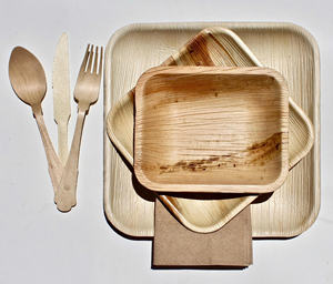 Platos de Hoja de Palma de Areca de la Mejor Calidad, Vajilla Desechable Resistente para Comidas Calientes, Comidas Frías, Postres, Bocadillos y Servicio de Buffet - Product Image 1