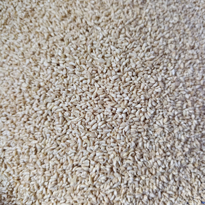 Low MOQ Kaju Cashew <b>Nuts</b> SANTIGO <b>Nuts</b> <b>Kernels</b> Broken Kaju Reasonable Price - Product Image 1