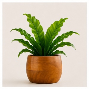 Maceta Redonda de Madera Maciza Ecológica de Nuevo Diseño, Hecha a Mano, Moderna y Minimalista, para Decoración de Interiores, Oficina y Hogar - Product Image 5