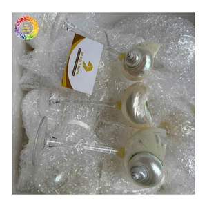 Tazas de Concha Natural Hechas a Mano, Vasos Transparentes para Fiestas, Elegante Taza de Concha de Caracol, Decoración de Boda Hecha a Mano de Lujo - Product Image 1