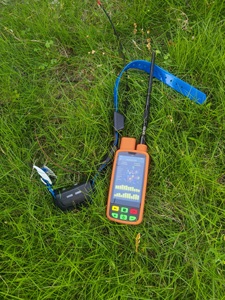Collar Localizador GPS VHF 4G para Perros eSEEK Factory con PDA Portátil, 6400mAh, Largo Alcance, Resistente al Agua, Dispositivo de Localización de Mascotas para Caza, OEM - Product Image 1