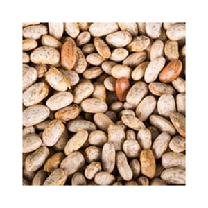 Haricots Pinto Naturels Premium - Haute Qualité, Meilleur Prix, Directement des Producteurs au Mexique - Product Image 5