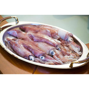 Compre Calamar Congelado Entero de Alta Calidad a Precios Accesibles al por Mayor con Descuentos para Importadores y Distribuidores de Mariscos - Product Image 6