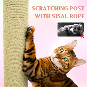 Arbre à chat moderne multi-niveaux en jute et sisal rose et vert avec griffoir, grand condo amovible, mobilier d'intérieur pour animaux de compagnie - Product Image 3