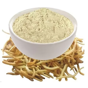 Polvo de Safed Musali 100% Natural, Extracto Puro y Orgánico de Safed Musali en Polvo para Ayudar a Mejorar la Salud y el Bienestar en General - Product Image 1