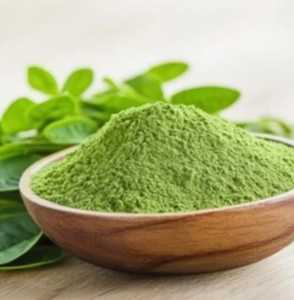Polvo de Moringa Seco de Primera Calidad, Polvo de Hoja Verde Natural para Nutrición, Procesamiento de Alimentos y Suministro al por Mayor - Product Image 2
