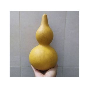 Bouteille de vin en forme de gourde, approuvée par les clients, écologique, pour exposition culturelle, qualité export, pour liquides et plantes - Product Image 2