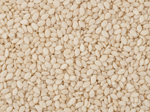 Semillas de Sésamo Blancas Crudas 100% Naturales de Grado Exportación, Suministro a Granel, Superalimento Puro y Saludable Rico en Aceite para Mercados Globales, Exportación al por Mayor - Product Image 3