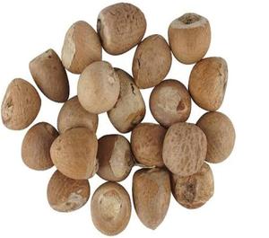 Noci di <span class=keywords><strong>Betel</strong></span> fresche e di qualità - Product Image 1