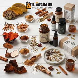 Antrodia Camphorata LiGNO AC07 Polvo Activo Crudo Suplemento Nutracéutico Vitalidad Certificado Halal Kosher Material OEM ODM - Product Image 3