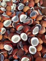 Gedroogde kokosnoot halve schelp copra, eetbaar, 65% oliegehalte, zoete smaak, watergeconserveerd, AD-drogen, vacuüm verpakt, bulk levering India