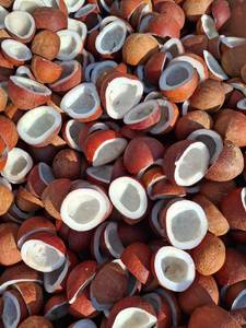 Coque de noix de coco séchée, copra, goût sucré, préservée dans l'eau, séchage AD, emballage sous vide, approvisionnement en vrac - Product Image 3