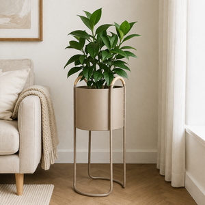 Support de fil métallique noir classique en fer durable multi-usage pour plantes d'intérieur avec drainage pour la décoration de la maison et du jardin - Product Image 4