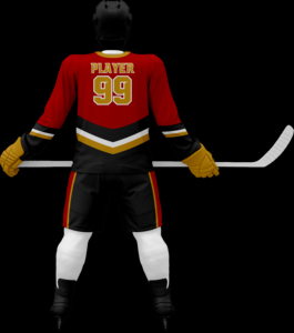 Custom Designs <b>Men's</b> Ice hockey Uniform Sets V-Neck Outdoor Sports Practice Wear Field Hockey Uniforms Sets - Product Image 1