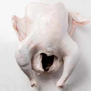 Pavo Entero Congelado Orgánico de Primera Calidad con Vitaminas, Empaque a Granel para Suministro al por Mayor y Exportación - Product Image 3