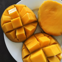 [Waardekeuze] Goedkope prijs Verse gele mango Cat Chu Vietnam Natuurlijk zoet Vers seizoensproduct Oogst voor groothandel export dozen