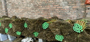 Petite balayette en herbe de tigre à manche en bois, multifonctionnelle, durable, écologique, pour un décor rustique et le nettoyage domestique - Product Image 4