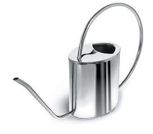 Regadera de metal elegante con boquilla larga y estrecha para riego preciso de suculentas, bonsáis y plantas pequeñas - Product Image 2