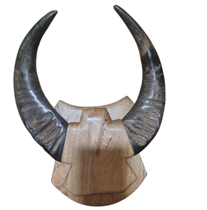 Buffalo Decorative Horn Item Sculpture for Living Room Office Interior <b>Decoration</b> Buffalo Horn 2 Pieces Decorative Item - Product Image 2