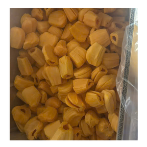 Trozos de Jaca Congelados, Fruta Tropical Dulce Natural para Distribución Alimentaria - Product Image 4