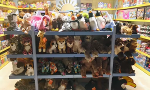 Aménagement intérieur de magasin de vente au détail pour enfants créatifs, conception moderne de boutique de jouets, aménagement ludique, unités d'exposition de jouets, étagères, présentoirs colorés - Product Image 5