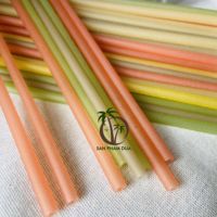 Fabricant de paille de noix de coco vente en gros de paille de riz colorée VIETNAM/paille de riz jetable/pailles à boire écologiques