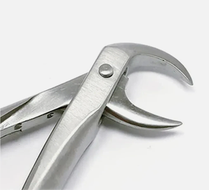 Para Amin, fórceps de extracción de molares inferiores manuales de alta calidad #86 C, acero inoxidable Certificado CE con agarre ergonómico - Product Image 3