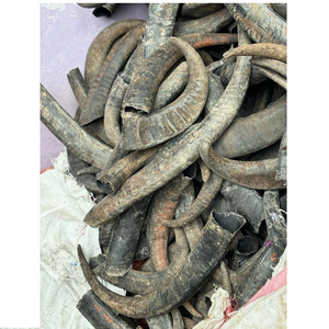 ขนมขบเคี้ยวสำหรับสุนัขคุณภาพสูง ทำจากเขาควายธรรมชาติ พร้อมกระดูก ราคาถูกที่สุด เป็นมิตรกับสิ่งแวดล้อม สีเขาธรรมชาติ - Product Image 5