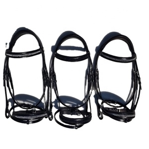 Artículos ecuestres de cuero: Brida de cuero con cejeras y correa de nariz acolchada con accesorios de acero inoxidable. - Product Image 1
