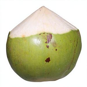 Coco joven fresco natural de Vietnam para refrescantes bebidas de jugo y deliciosa agua de coco en servicios de comedor de hoteles de lujo. - Product Image 5