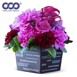 กระถางดอกไม้ ELF พลาสติก PP สีสันสดใส ดีไซน์เรียบง่าย ทันสมัย เหมาะสำหรับใช้เป็นของขวัญ งานฝีมือ วันแม่ ตกแต่งบ้าน - Product Image 4