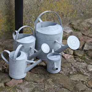Arrosoir en métal galvanisé avec long bec verseur et doubles poignées, arrosoir de jardin en métal durable pour plantes d'extérieur, jardinage - Product Image 5