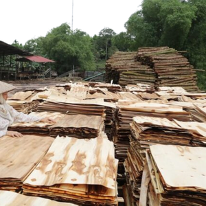 Fabriqué au Vietnam 12mm 15mm 18mm Contreplaqué de construction Contreplaqué à face filmée pour projets de construction - Product Image 4