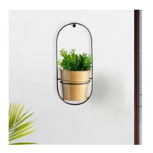 Modern Minimalist Metal Wall Hanging Planter with Gold Pots for Indoor Green <b>Plants</b> Elliptical Design Powder Coated Finish - Product Image 1