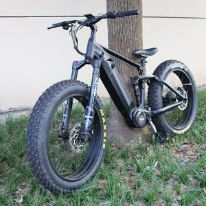 Bicicleta Eléctrica Bafang G510 System de 1000 Vatios, la Más Vendida en China - Product Image 1