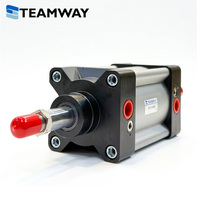 Cylindre pneumatique à piston standard TEAMWAY DN, alésage 32-100 mm, course 25-500 mm, en alliage d'aluminium, garantie 1 an pour Airtac SI