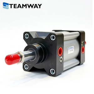 Cylindre pneumatique standard TEAMWAY DN, alésage 32-100 mm, course 25-500 mm, alliage d'aluminium, remplace Airtac SI, série Festo DNC - Product Image 2