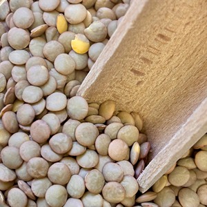 Lentejas Verdes Orgánicas Secas de Alta Calidad, Sin GMO, Fuente Natural y Saludable para Comidas y Bocadillos Veganos - Product Image 5