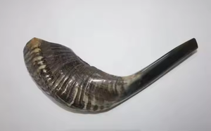 แตรแกะธรรมชาติขัดเงากันน้ำสไตล์สัตว์ทันสมัยทำด้วยมือสไตล์พรีเมี่ยม - Product Image 3