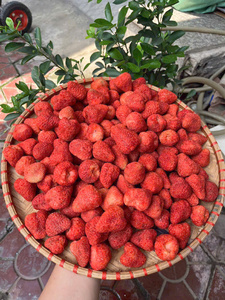 Fresas Liofilizadas de Vietnam, Enteras y en Rodajas, para Yogur, Cereales, Repostería, Ingredientes Alimenticios y Empaquetado para Venta al por Menor - Product Image 6